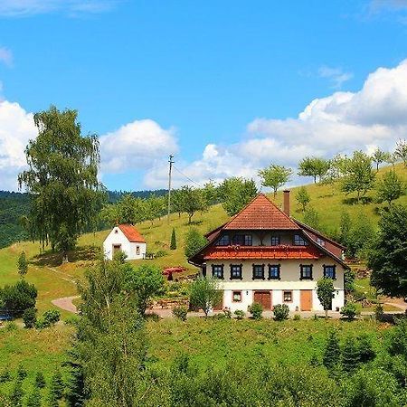 Ferienhaus Hubhof Oberharmersbach Exterior photo